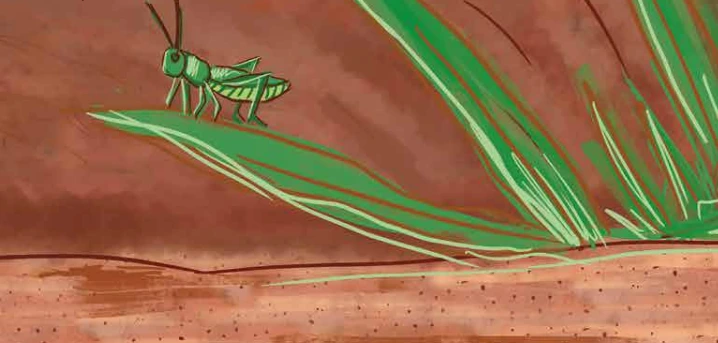 Ilustração da aventura Grilo e Gafanhoto
