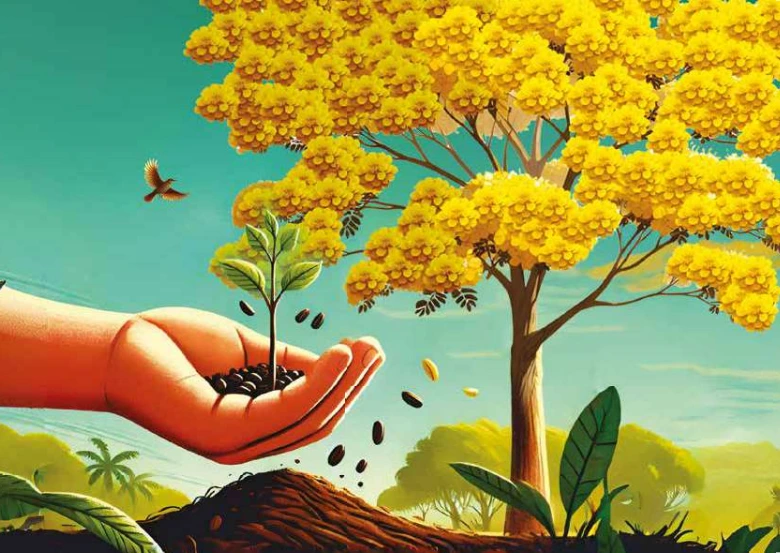 Ilustração da aventura Semear e Cuidar