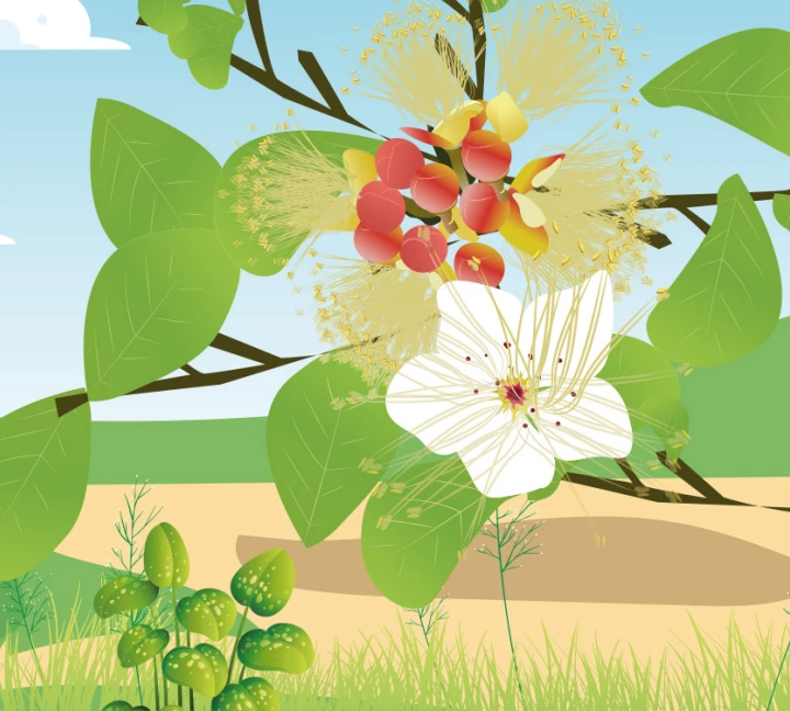 Ilustração da aventura Descoberta da Flor
